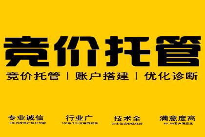 SEM广告投放实战：打造品牌知名度
